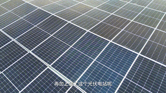 3.gif